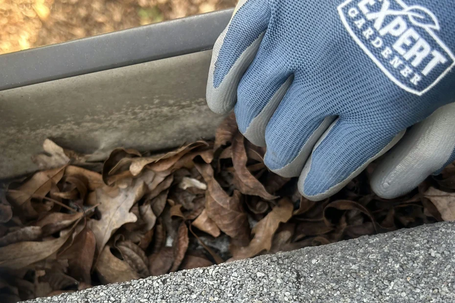 Gutter Cleaning Fairlawn