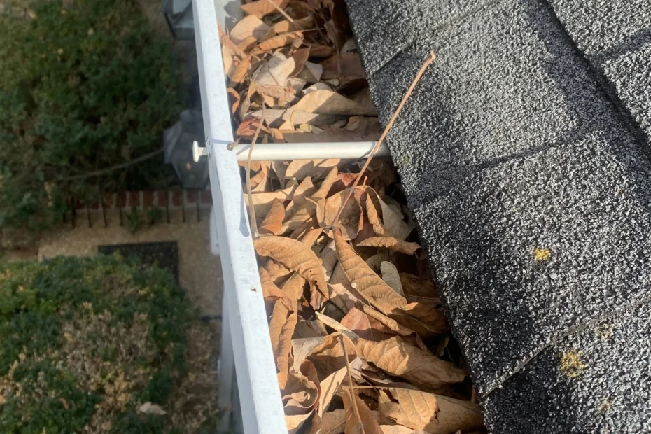 Gutter Cleaning Fairlawn