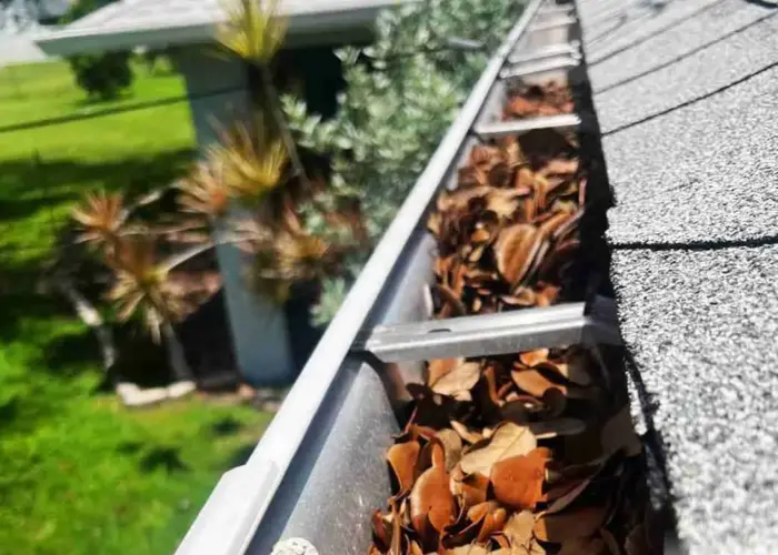 Gutter Cleaning Fairlawn home page